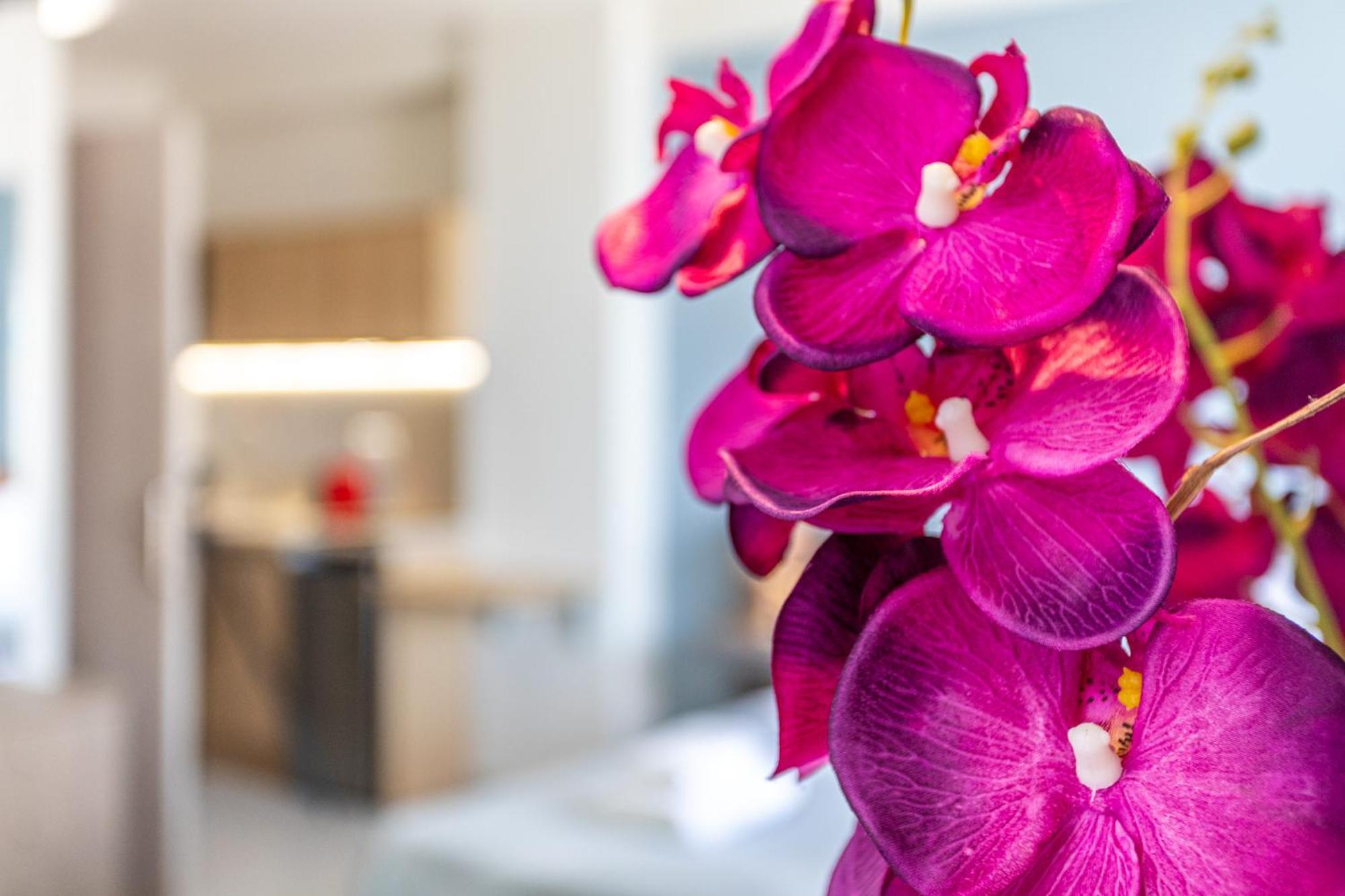 Marina Aparthotel Kardhamili Buitenkant foto